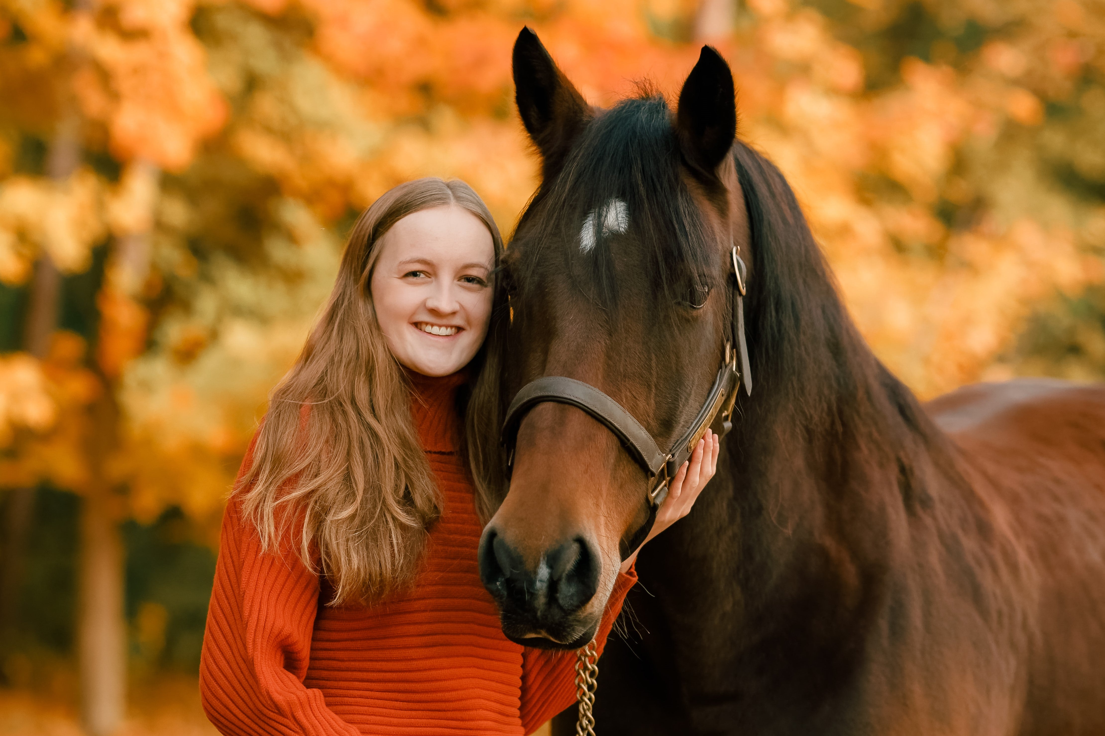 The Importance of a Balanced Diet as a Pillar of Hoof Health