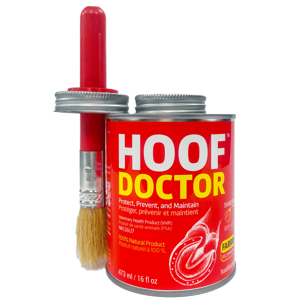 Hoof Doctor - Hoof Doctor