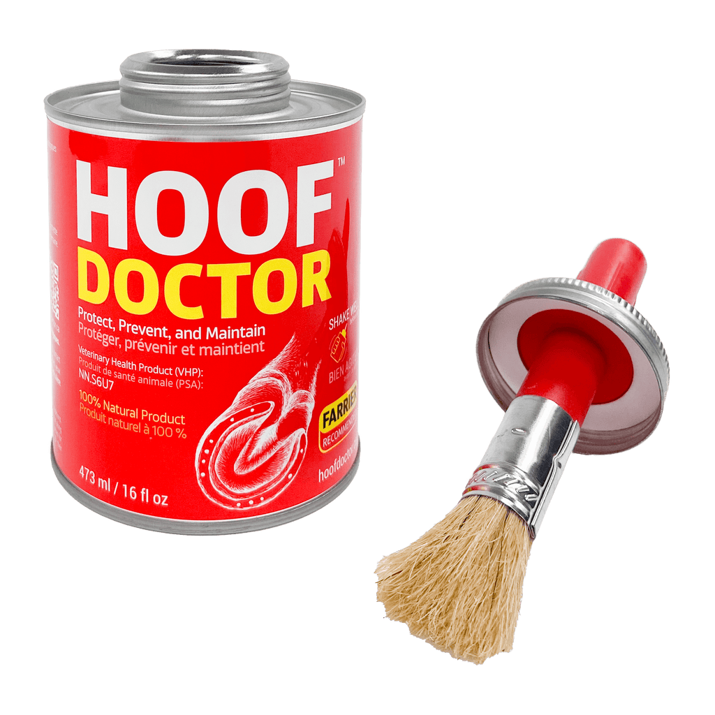 Empty Jar w/ Brush Applicator - Hoof Doctor